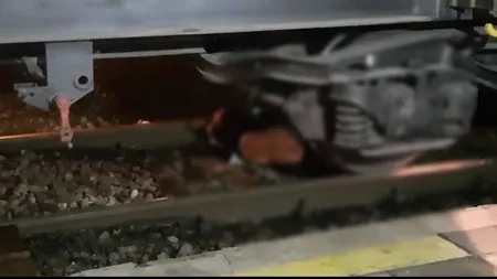 Tragedie în Cernavodă. Un bărbat a murit după ce a fost strivit de tren