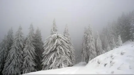 PROGNOZA METEO. Cum va fi vremea în primele zile ale săptămânii