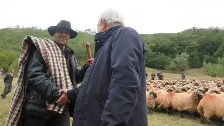 Petre Daea către un crescător de ovine: Cum urci dumneata dealul să nu te doară spatele?