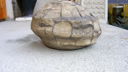 Misterele din Munţii Neamţului. Pietre misterioase, OZN-uri în miniatură şi scrieri ciudate