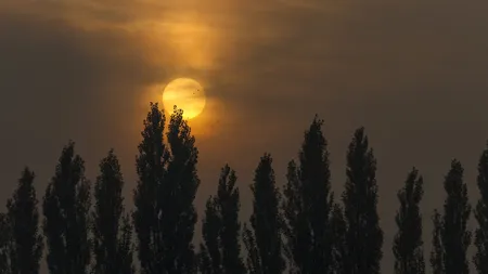 Cum să te trezeşti în dimineţile întunecate. Încearcă aceste trucuri şi vei uita cum e să fii somnoros