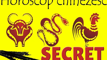 ZODIAC CHINEZESC 2018. Schimbări IMPORTANTE în anul câinelui de pământ. HOROSCOP CHINEZESC 2018 pentru toate zodiile