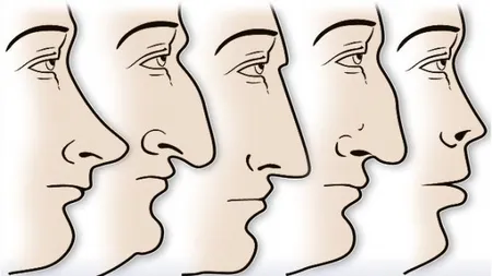 Ce spune forma nasului despre personalitatea ta