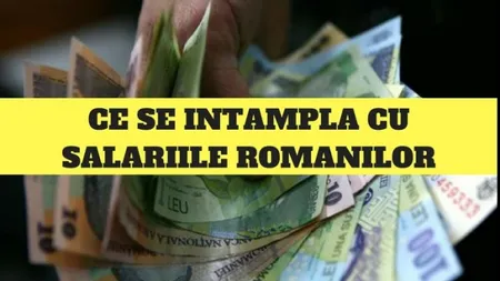 SALARIUL MINIM creşte de Ziua Naţională. Codul Muncii se va modifica în următoarea şedinţă de Guvern