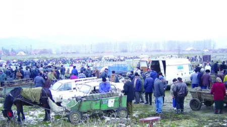 Târgul de animale de la Călugăreni a fost închis