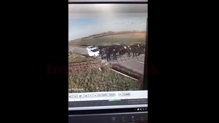 Au apărut primele imagini cu fratele Biancăi Drăguşanu când este călcat în picioare de poliţişti VIDEO