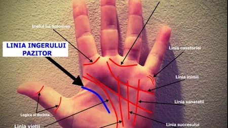Ai această linie în palmă? Dezvăluie despre tine un lucru foarte important