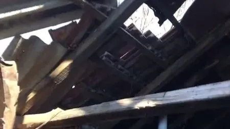 Caz dramatic în Buzău: Trei fraţi trăiesc la propriu sub cerul liber VIDEO