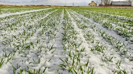 Rezerva de apă se va situa în limite satisfăcătoare în perioada 4-10 ianuarie