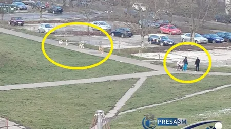 O femeie cu un copil în cărucior, atacată de o haită de câini într-un parc din Satu Mare