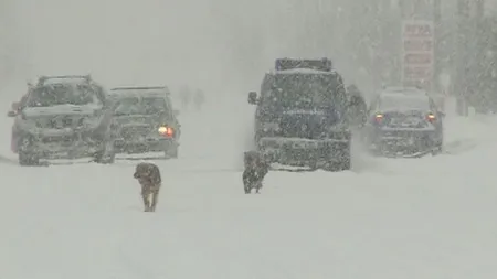 PROGNOZA METEO pentru URMĂTOARELE ZILE. Vremea se va răci în toată ţara, ninsori şi temperaturi scăzute