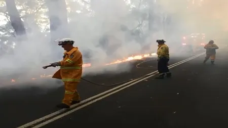 Imagini apocaliptice în Australia, turiştii au fost prinşi în mijlocul flăcărilor VIDEO