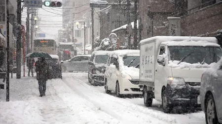 Ninsorile abundente din Japonia perturbă traficul feroviar şi aerian
