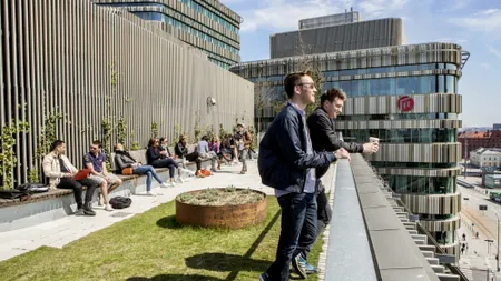 Mesaj de ameninţare teroristă la Universitate. Instituţia de învăţământ a fost închisă