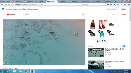 Un copil a scăpat în ultima clipă de atacul a patru rechini. Imaginile au fost filmate cu o dronă, în Bahamas VIDEO