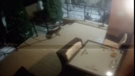 Imagini nemaivăzute lângă Capitală, camerele de supraveghere au surprins momentul VIDEO