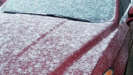Ninge în Florida, Statul Soarelui. Imagini istorice filmate în Tallahassee VIDEO