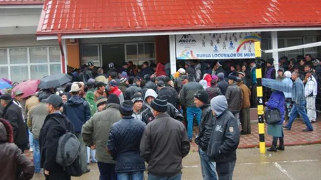 Se modifică legea venitului minim garantat. Ce se întâmplă cu asistaţii social care refuză să lucreze