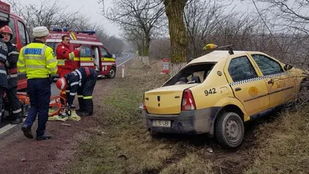 Taxi izbit de copac, şoferul încarcerat