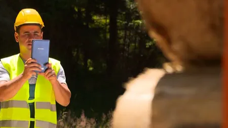 Program revoluţionar implementat de cel mai mare procesator de cherestea din România VIDEO