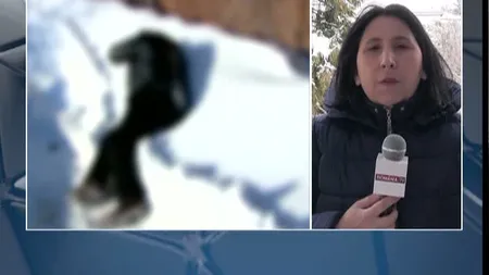 Vremea rea face noi victime. O femeie din judeţul Suceava a fost găsită îngheţată pe un câmp