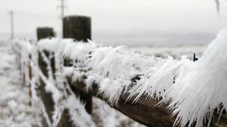 Avertizarea meteo a intrat în vigoare. COD GALBEN şi PORTOCALIU: ger năprasnic în toată ţara şi ninsori viscolite în sud