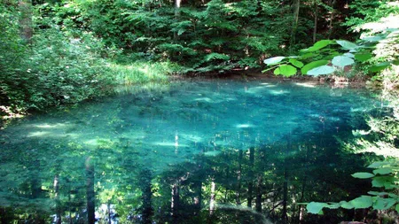 Topul celor mai frumoase lacuri naturale din România
