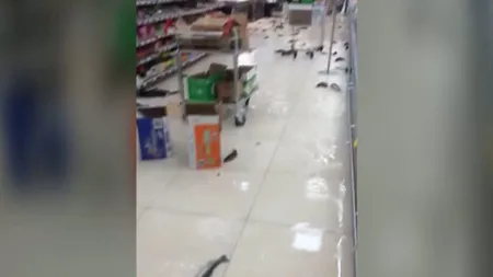 Imagini spectaculoase din hipermarket. Un acvariu s-a spart, peştii s-au răspândit printre raioane VIDEO