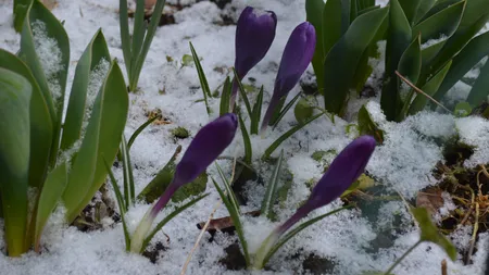 PROGNOZA METEO PE DOUĂ SĂPTĂMÂNI: Când se încălzeşte vremea