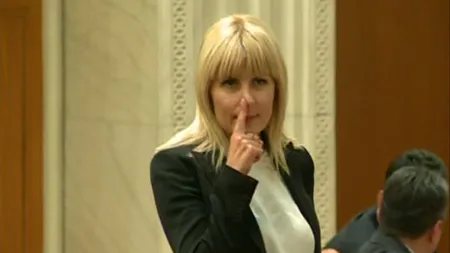 Elena Udrea, reacţie pe Facebook după conferinţa DNA: 