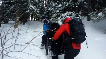 Turişti rătăciţi în Masivul Postăvaru, înconjuraţi de o haită de lupi. Operaţiune de salvare contracronometru