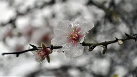 PROGNOZA METEO pentru săptămâna viitoare. Când se întorc ploile