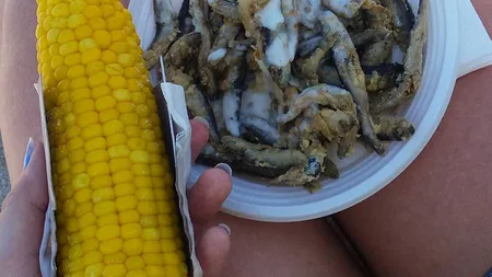 DEZLEGARE LA PEŞTE: Hamsie de mare prăjită