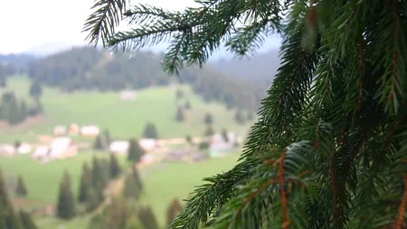 PROGNOZA METEO pentru URMĂTOARELE ZILE. Weekend cu 20 de grade în termometre, vezi cât de mult se răceşte săptămâna viitoare