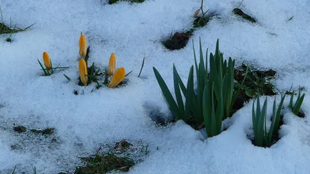 PROGNOZA METEO PE TREI ZILE. Intrăm în ultima săptămână de martie, dar iarna nu se dă bătută