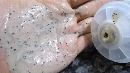 Incredibil ce se întamplă dacă pui zaţ de cafea în gelul de duş şi te speli cu amestecul rezultat. Nu vei mai folosi altceva