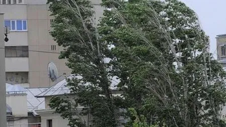 Avertisment de la meteorologi. Vânt puternic până luni la ora 21:00