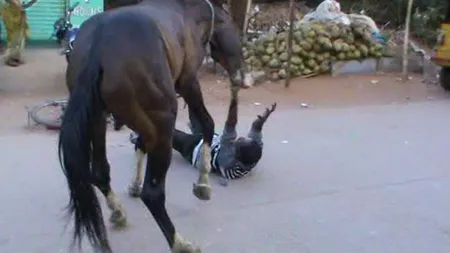 Un bărbat care îşi bătea calul a ajuns la spital în stare gravă, după ce a fost lovit de animal