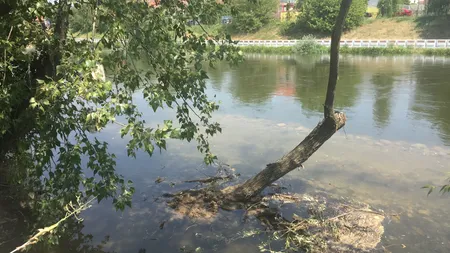 Un profesor orădean, căutat de scafandri, după ce i s-a făcut rău şi a căzut în Crişul Repede