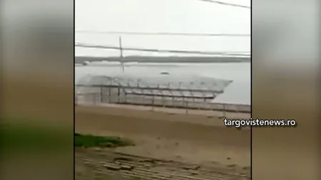 Furtuna a făcut prăpăd în Dâmboviţa: zeci de solarii au fost distruse în câteava minute VIDEO