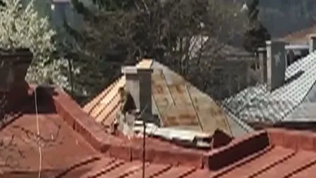 O maimuţă a evadat de la Grădina Zoologică din Piatra Neamţ
