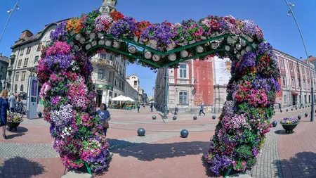 Cupole de flori, umbrele colorate şi aranjamente inedite, la Timfloralis, în Timişoara