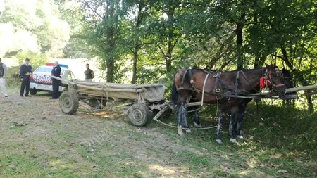 VASLUI. Un bărbat a fost găsit mort în propria căruţă