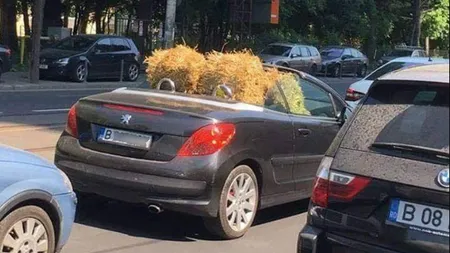 Baloţi de paie, transportaţi cu decapotabila prin mijlocul Bucureştiului