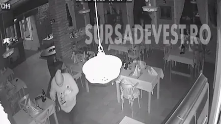 Situaţie tragi-comică în Timiş: Doi hoţi fură seiful unui restaurant, apoi se întorc să ia şi băutură