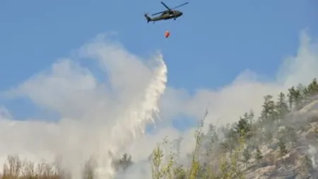 Alte două focare de incendiu au fost observate în Parcul Naţional Domogled unde arde pădurea de şase zile
