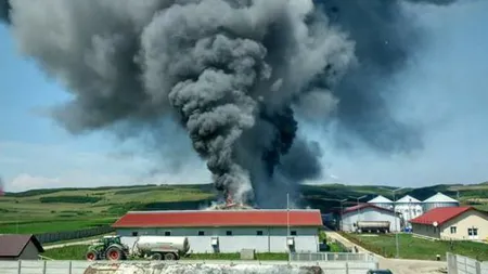 Pompieri, jandarmi și militari intervin pentru înlăturarea efectelor incendiului în care au ars 1.700 de scroafe şi purcei