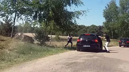 Scene şocante la Zoo. O familie de francezi a fost atacată de gheparzi VIDEO