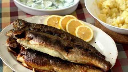 Se anunţă perioade caniculare. Recomandările ANSVSA în vederea prevenirii apariţiei toxiinfecţiilor alimentare