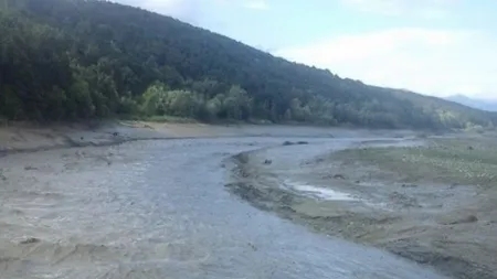 Poluare cu ţitei pe râul Jiu